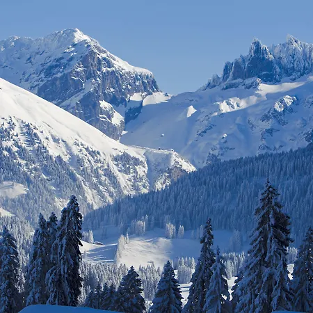 Grand Your With Common Kitchens With Self Check-in Engelberg