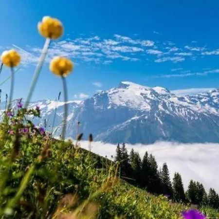 Grand Your With Common Kitchens With Self Check-in Hotel Engelberg