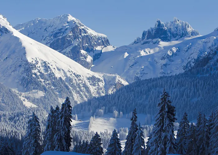 Grand Your With Common Kitchens With Self Check-in Engelberg